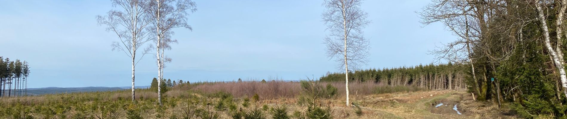 Tour Wandern Manhay - Malempré Oster Aisne 24,5 km - Photo