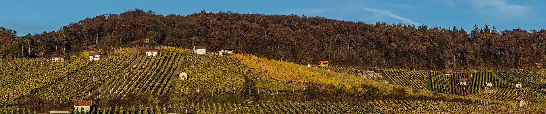 Randonnée A pied Donnersdorf - Falkenberger Hüttentour - Photo