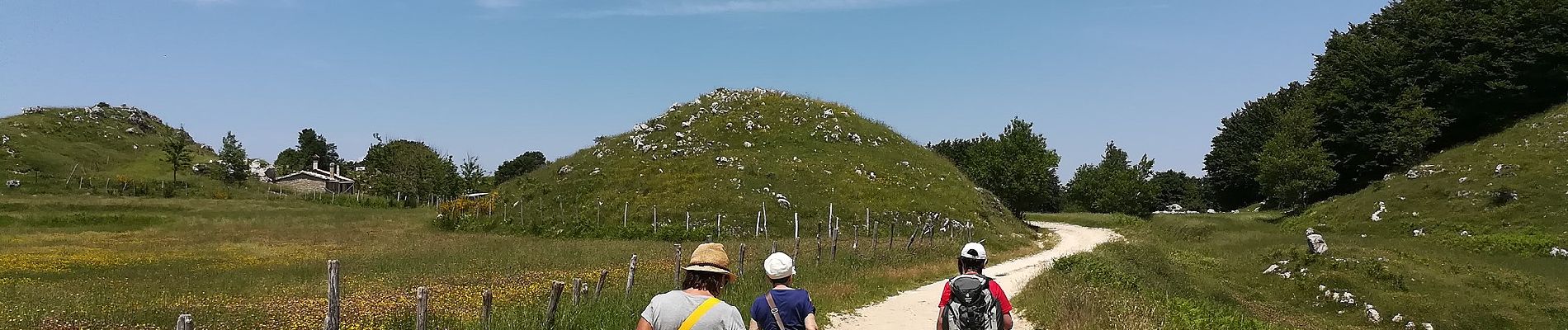 Excursión A pie Mendicino - (SI U24) Casellone Forestale di Monte Cocuzzo - Passo della Crocetta - Photo