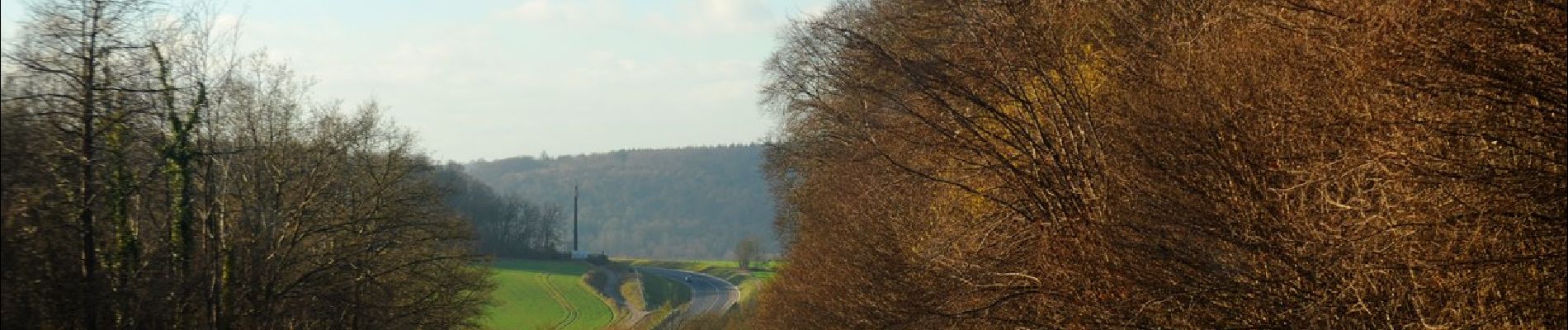 Excursión A pie La Feuillie - Les Orchidées - Photo