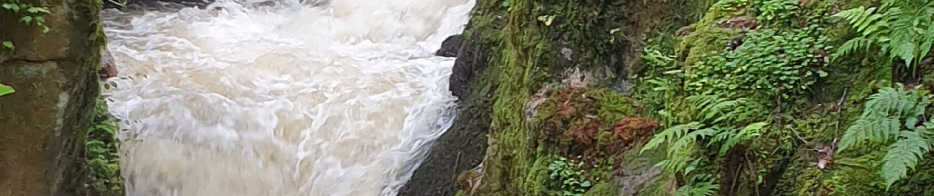 Percorso Marcia Arfeuilles - la cascade de pisserotte - Photo