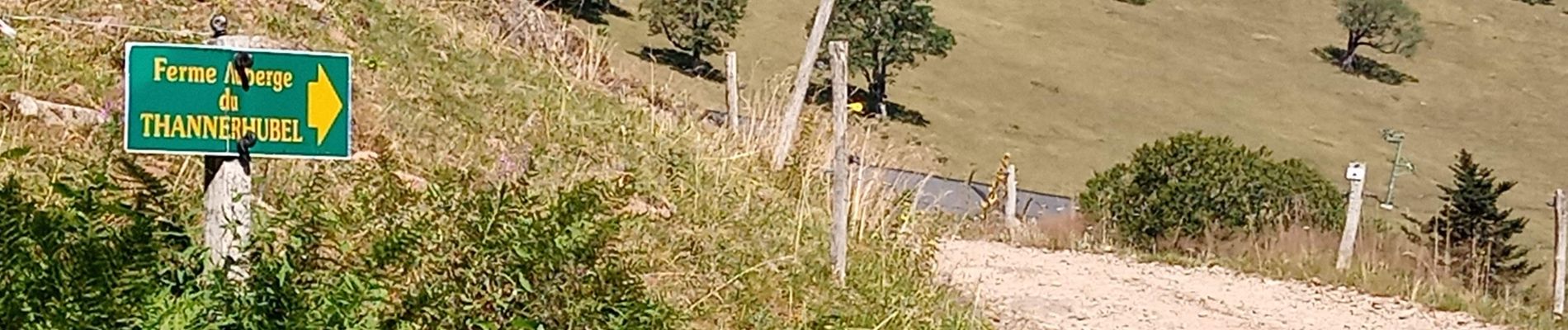 Tocht Stappen Bitschwiller-lès-Thann - Col du Hundsruck - Belacker (30/7/2020) - Photo