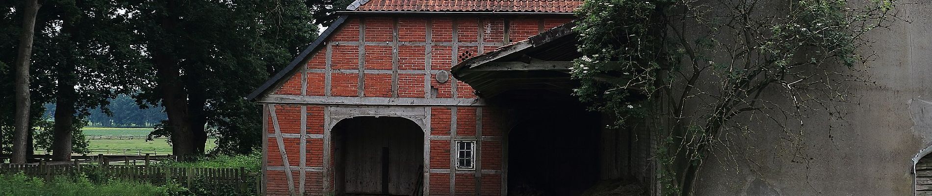 Randonnée A pied Eschede - Südheide 'Magische Orte längs des Weges' W20l (lange Tour) - Photo