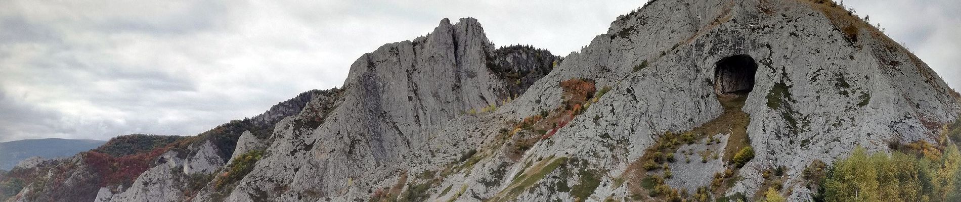 Randonnée A pied Unknown - Runc - Vârful Scărița - Rezervația Scărița Belioara - Photo