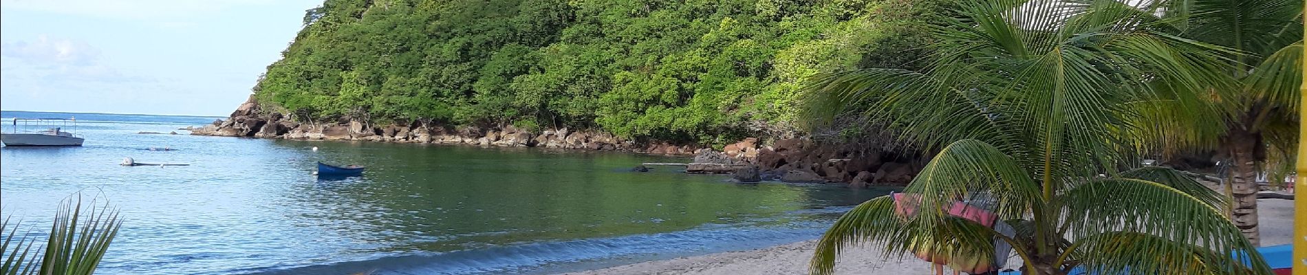 Randonnée Marche Anse d'Arlet - Morne Champagne  - Photo