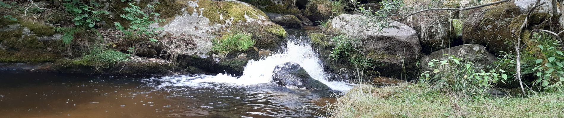 Trail Walking Saint-Alban-sur-Limagnole - la cascade du Franquet - Photo