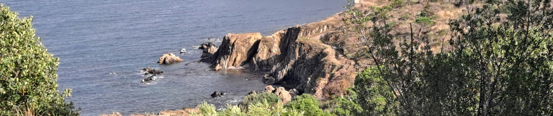 Percorso Marcia Argelès-sur-Mer - Argelès Collioure par la côte - Photo