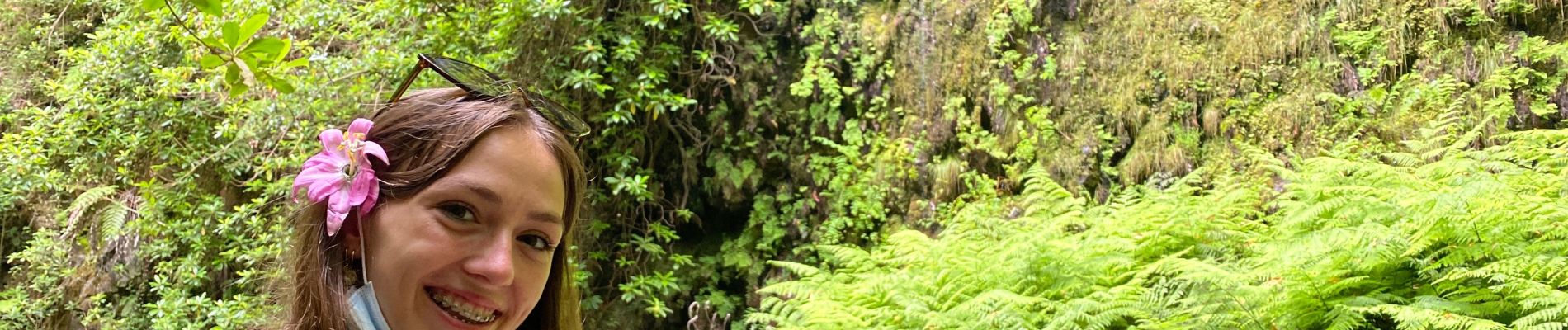 Percorso Marcia São Jorge - Levada del Rei - Photo