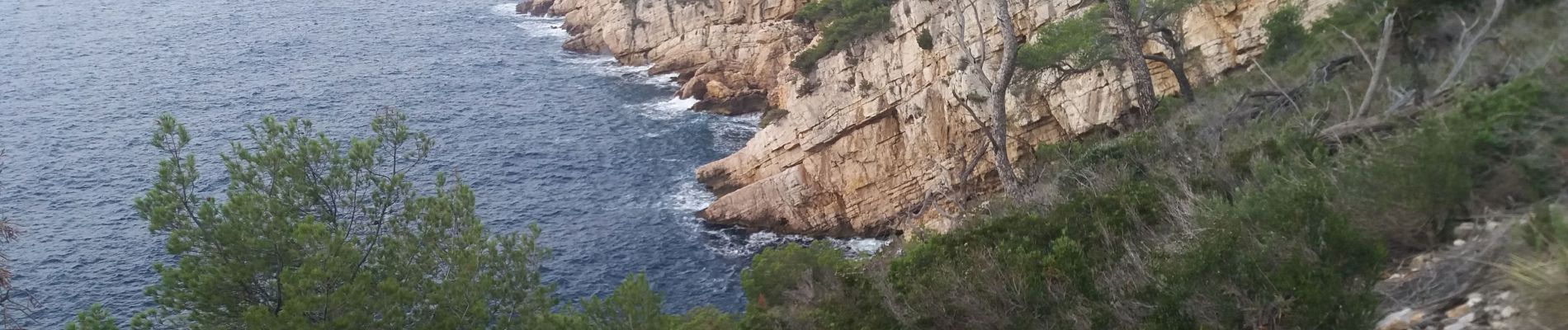 Tour Wandern Saint-Cyr-sur-Mer - chemin des vignes,  port d'alon, la Nartette - Photo