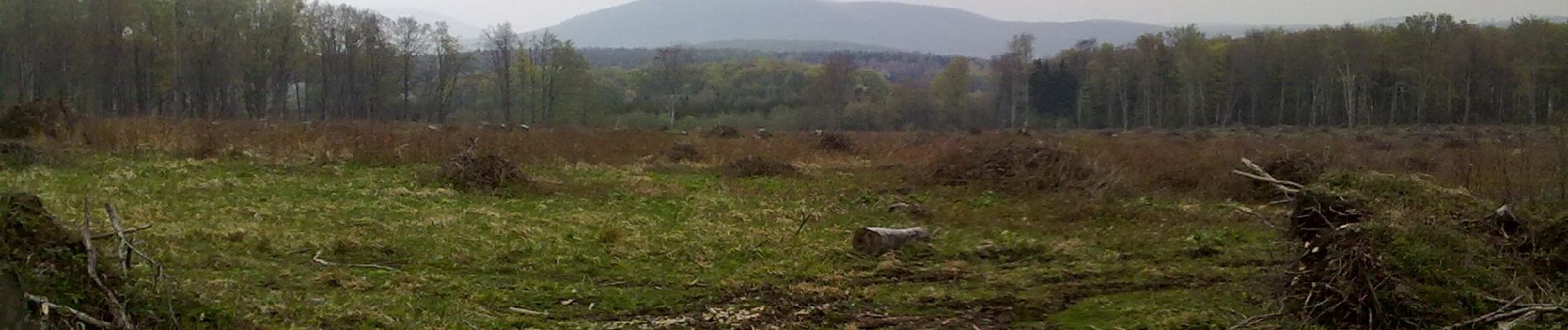 Percorso A piedi Bánd - P+ (Augusztintanya - Márkó malom) - Photo