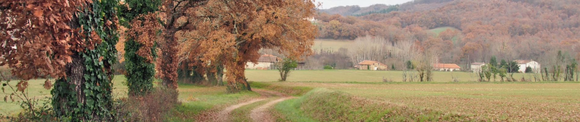 Trail On foot Les Cabannes - Boucle Les Cabannes/Bournazel/Cordes - Photo