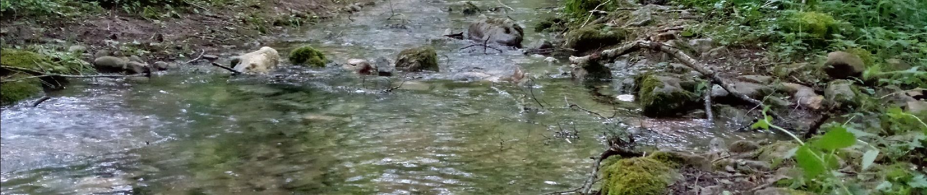 Randonnée Marche Lalinde - Sauveboeuf 14,4km - Photo