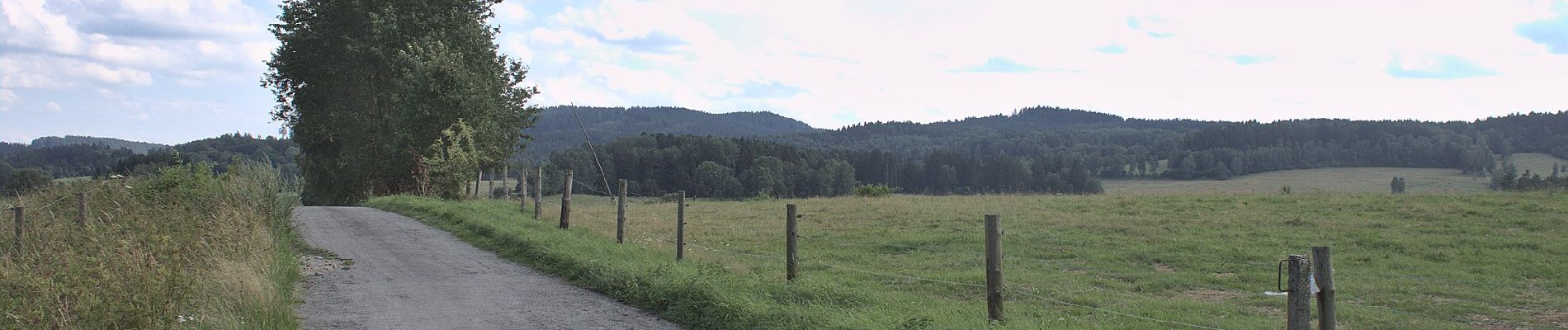 Percorso A piedi Leopoldschlag - Nordwaldkammweg Verbindungsweg V10 - Photo