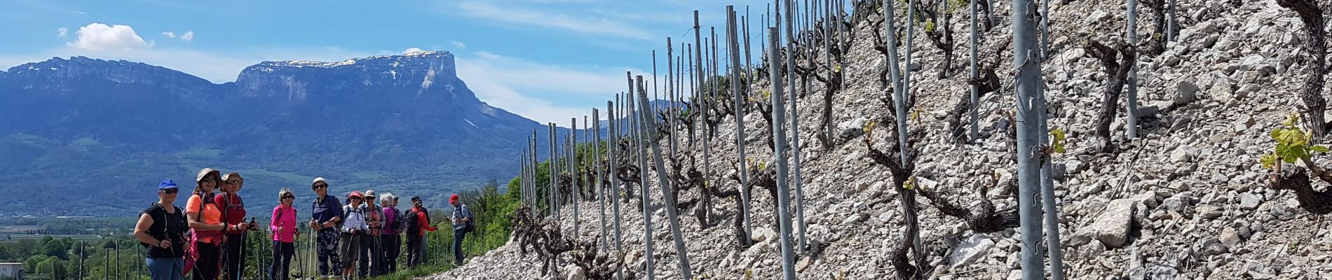 Percorso Camminata nordica Chignin - Chignin - Arbin à travers les vignes et coteaux - Photo