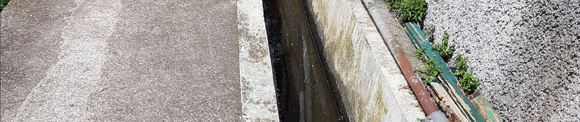 Excursión Senderismo Machico - Madère : du tunnel de Caniçal à Porto da Cruz - aller en bus - Photo