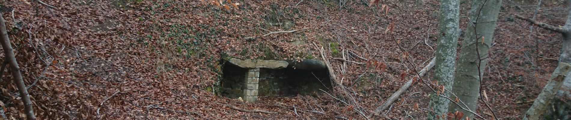 Tocht Stappen Fontainebleau - butte à guay  - Photo