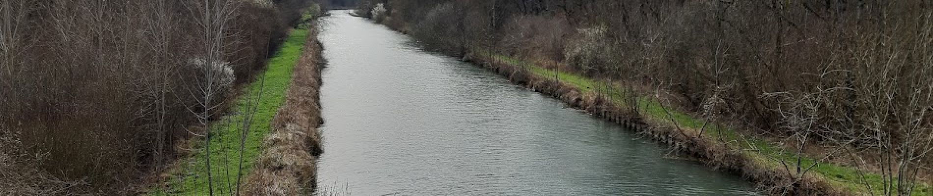 Trail Walking Crancey - Entre CRANCEY et PONT SUR SEINE - Photo