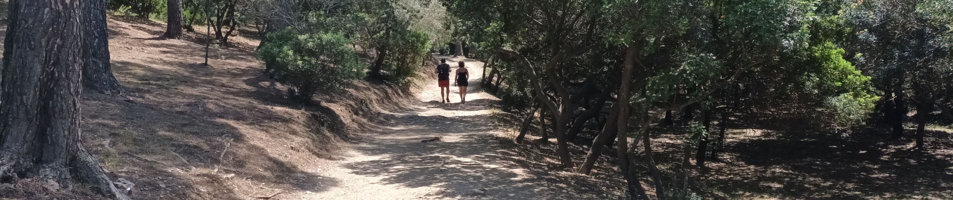 Excursión Senderismo Hyères - Presqu'île Giens Ouest-26-05-23 - Photo