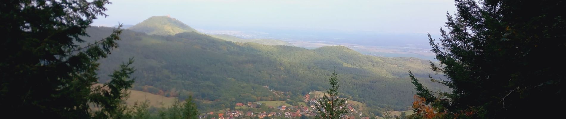 Tocht Mountainbike Bergheim - 1 ère sortie - Photo