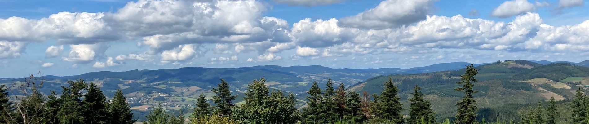 Randonnée V.T.T. Saint-Cyr-le-Chatoux - La cantinière  - Photo