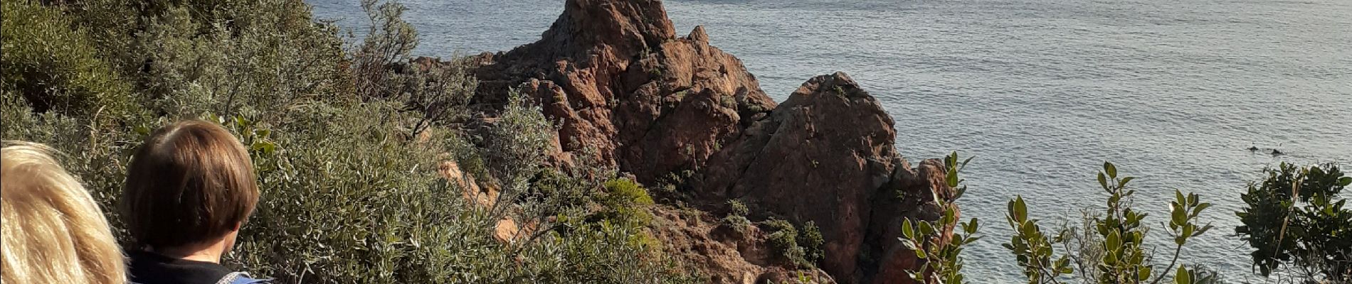 Percorso Marcia Théoule-sur-Mer - Theoule. notre dame d Afrique. le pique de l l'aiguille,  col de Theoule - Photo