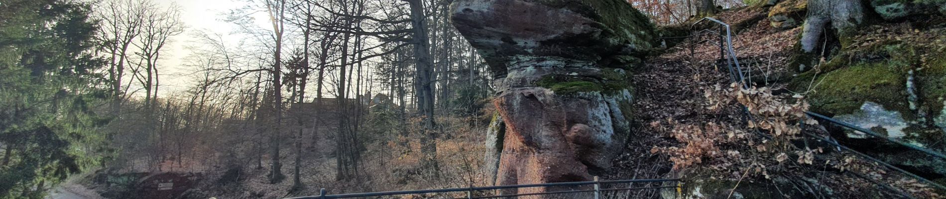 Tour Wandern Lützelstein - la petite pierre, les rochers - Photo