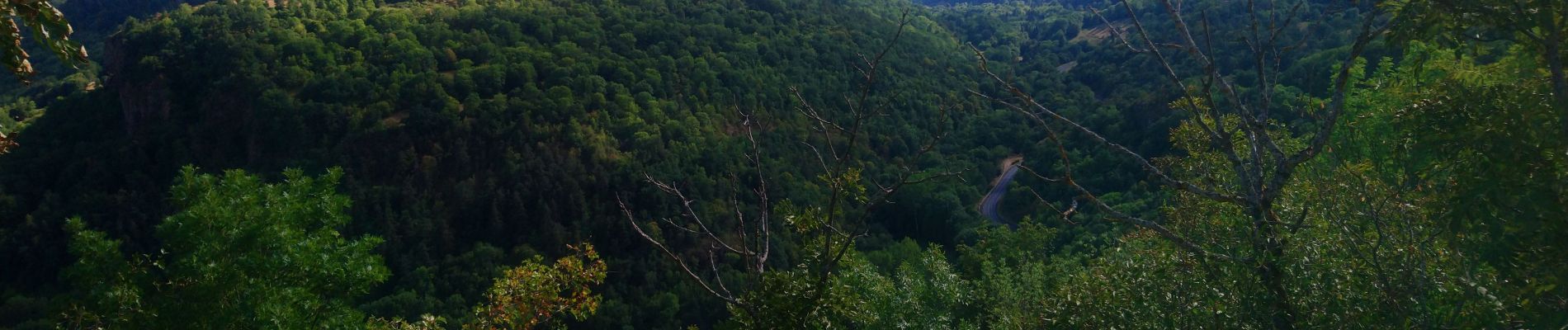 Tour Wandern Saint-Diéry - Roussat  - Photo