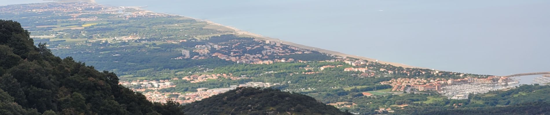 Trail Walking Argelès-sur-Mer - valmy-LaMassane_T - Photo