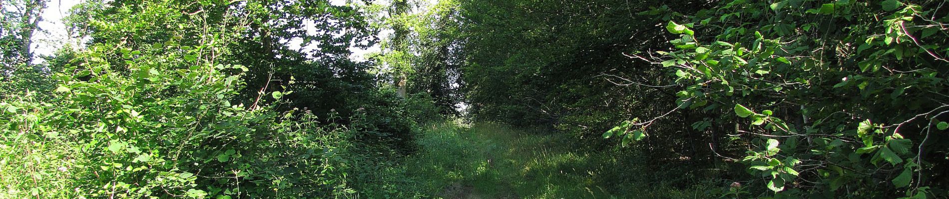 Punto di interesse Saint-Crépin-aux-Bois - Point 20 - Photo