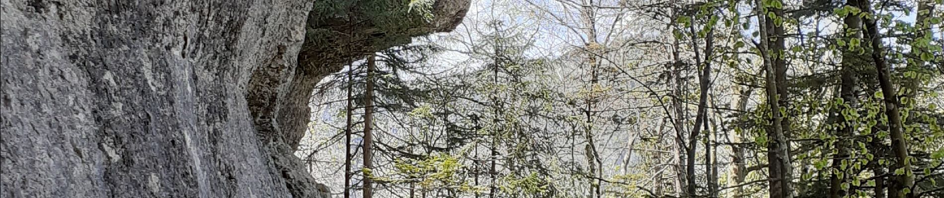 Tour Wandern Engins - Pas du curé Pas de la Corne - Photo