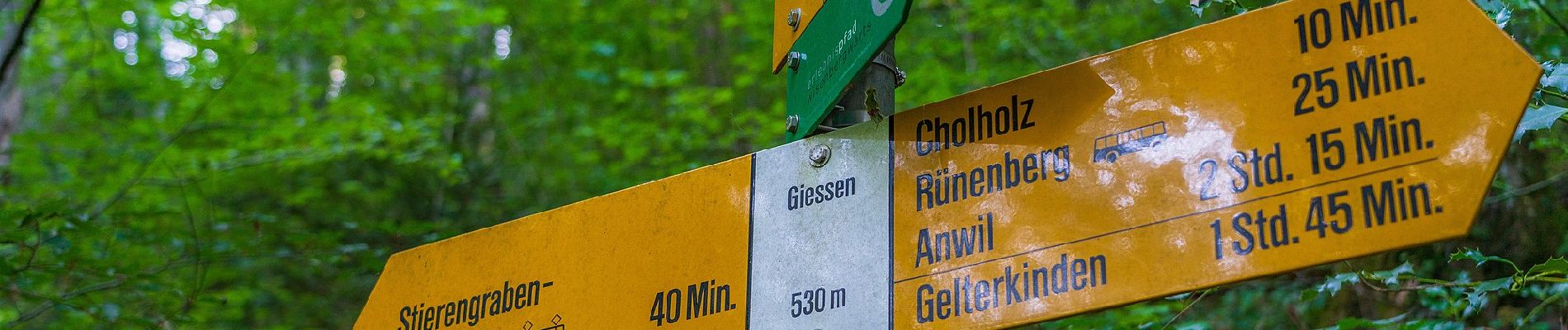 Percorso A piedi Rünenberg - Stolten - Sommerau - Photo