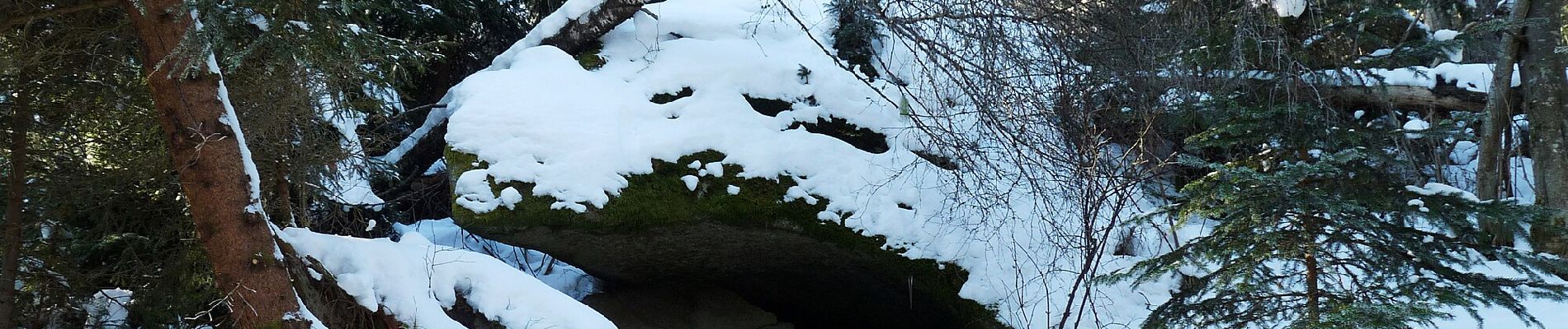 Trail On foot Stožec - Naučná Medvědí stezka - Photo