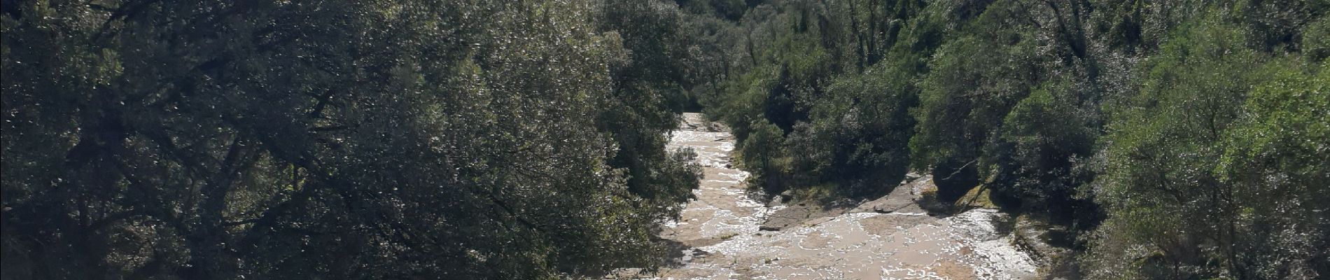 Randonnée Marche Mialet - Mialet Paussan les Puechs - Photo