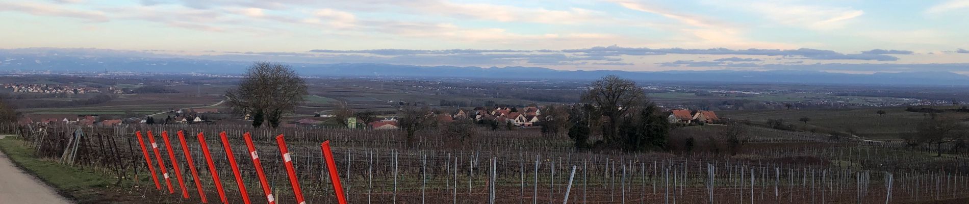 Tocht Stappen Dahlenheim - Froissart schararberg - Photo