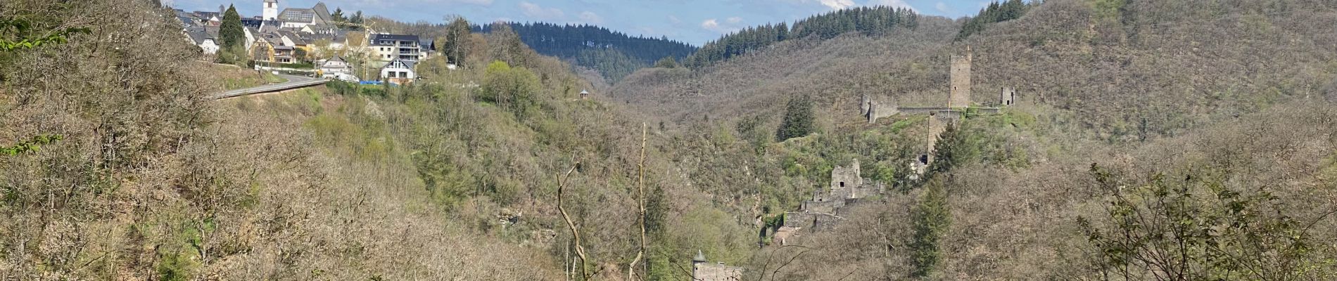 Excursión Senderismo Manderscheid - Manderscheid et Mosenberg (Eifel) - Photo