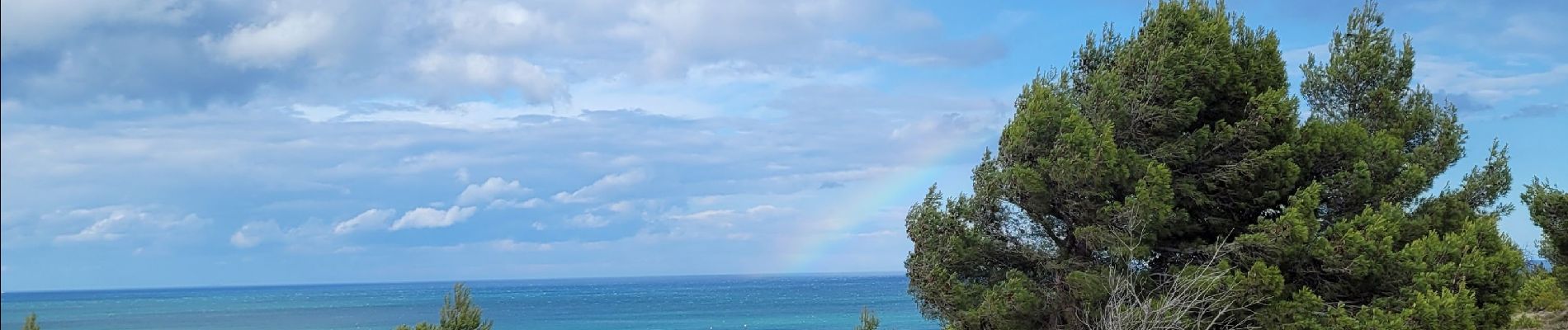 Tocht Stappen Leucate - leucate-plateau_T - Photo