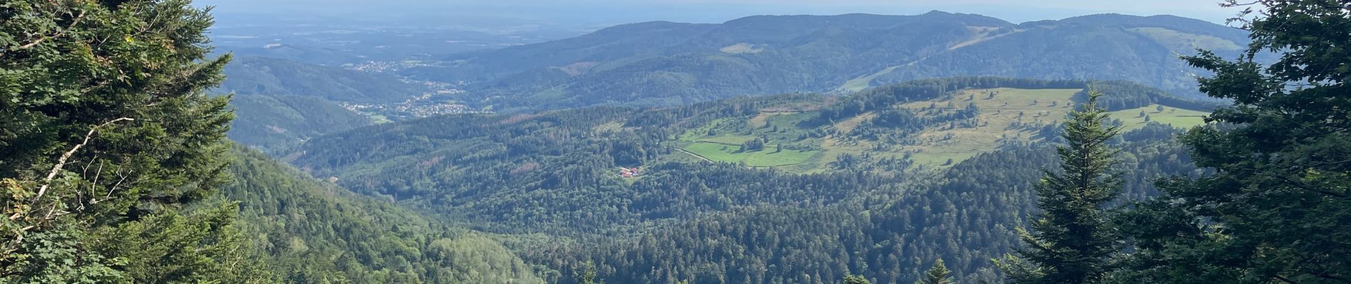 Randonnée Marche Saint-Maurice-sur-Moselle - Lac des perches - Photo