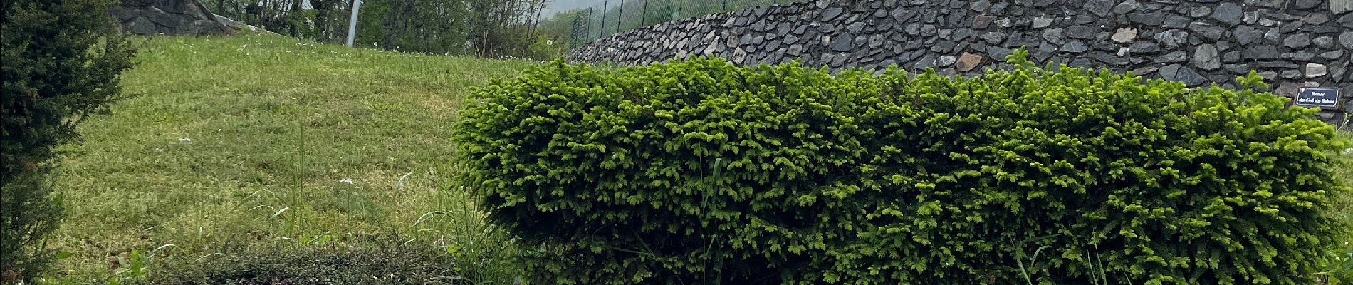 Tocht Stappen Vaujany - La condamine sous la pluie  - Photo