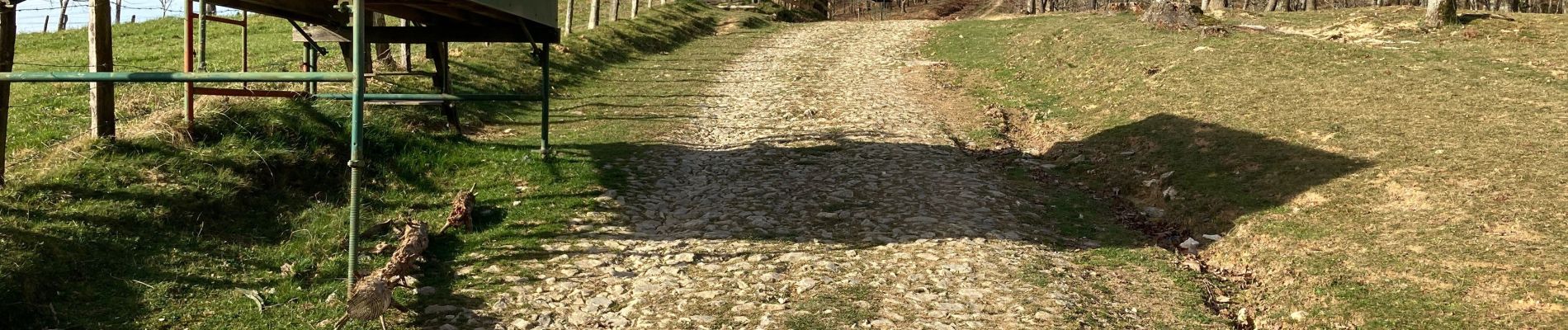 Tocht Stappen Urrugne - Ibardin Ziburumendi, Yasola forêt de Bera  Gartzin - Photo