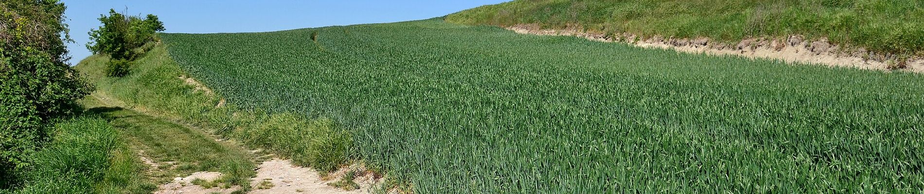 Percorso A piedi Evaň - [Z] Poplze - Horka - Photo