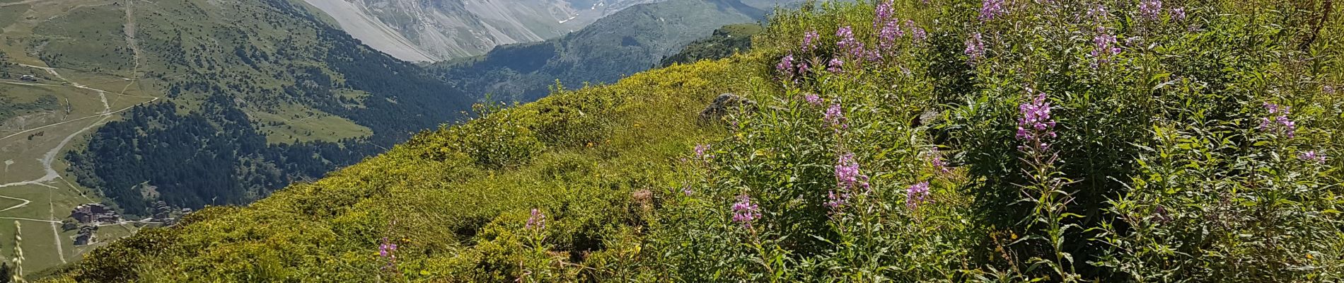 Trail Walking Les Allues - pas de cherferie - Photo