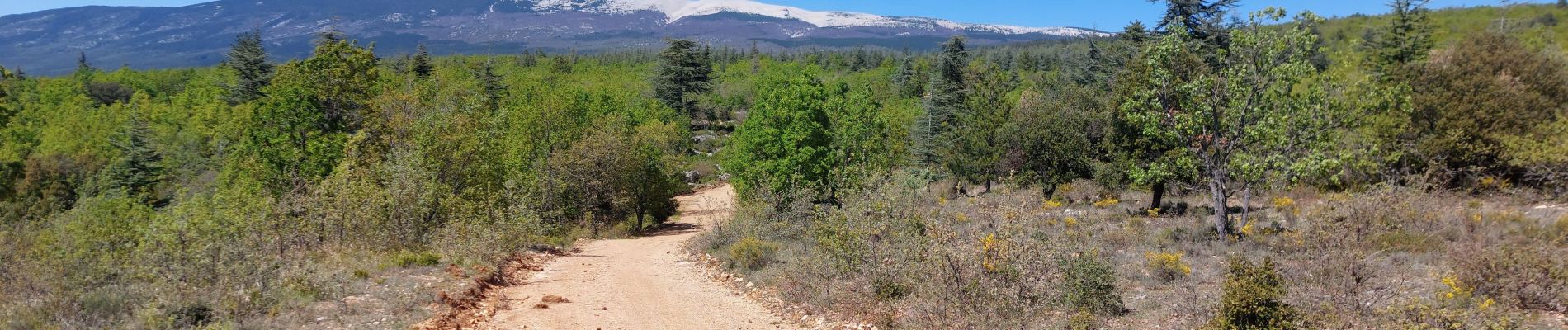 Tocht Mountainbike Mormoiron - La Tête à Jeannot !!!! - Photo