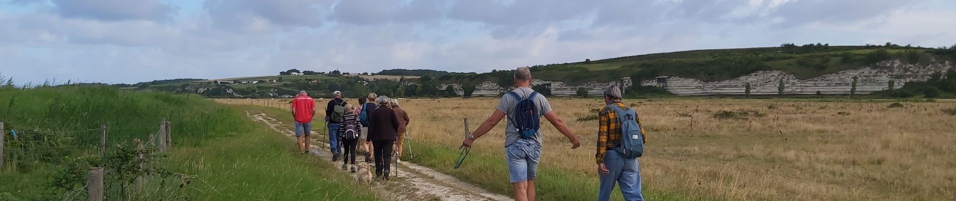 Trail Walking Mortagne-sur-Gironde - Mortagne  - Photo