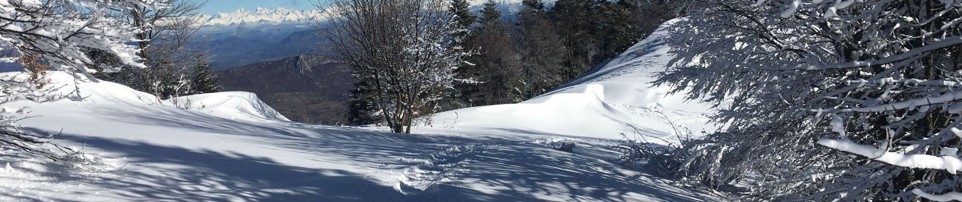 Trail Snowshoes Saint-Étienne-les-Orgues - Crête les Cavalets - Photo