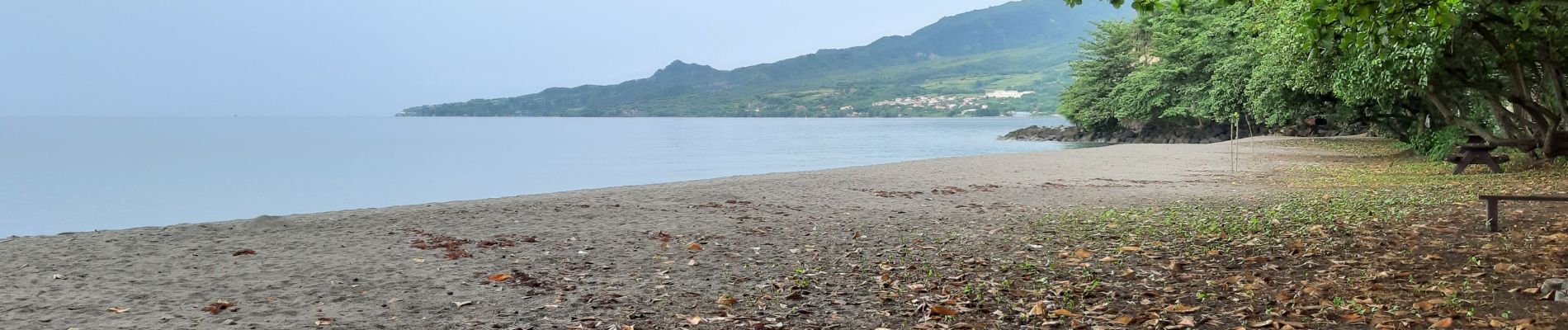 Percorso Marcia Le Morne-Rouge - Le Morne-Rouge  -  Le  Carbet par Col Yang Ting - Photo