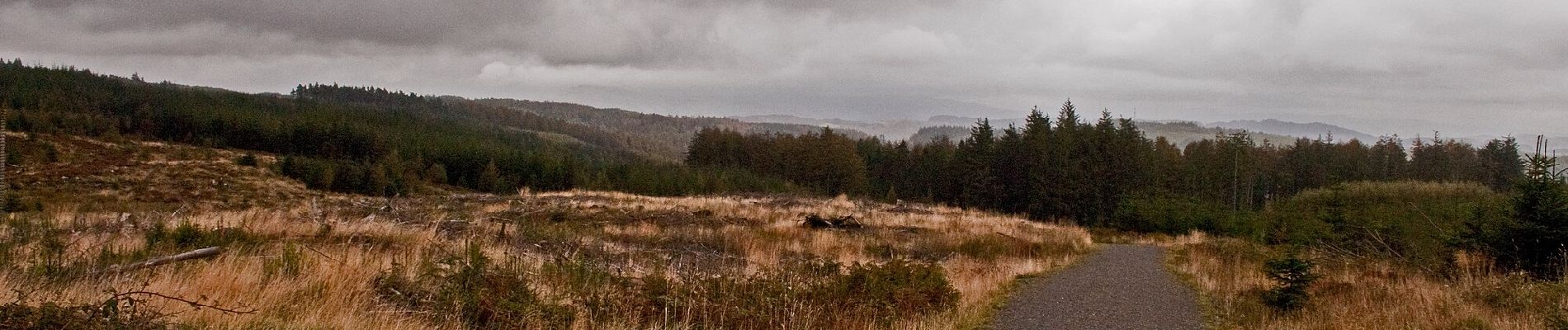 Percorso A piedi South Lakeland - Carron Crag Trail - Photo