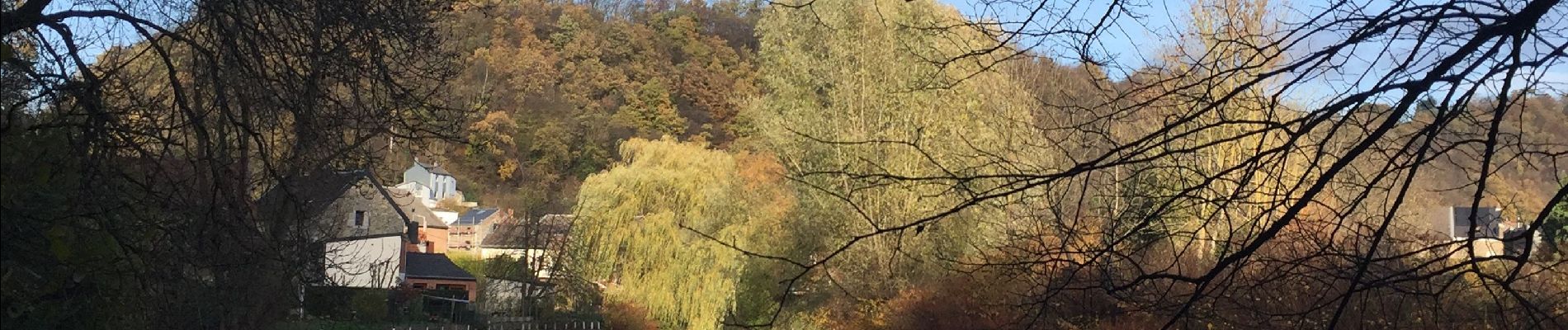 Randonnée Marche Olne - Grisenster chemins des  meuniers - Photo