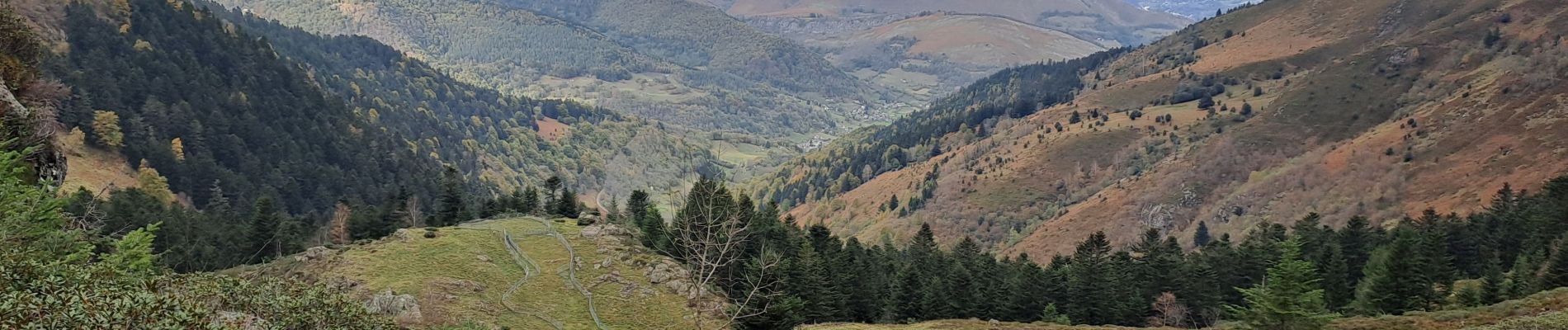 Randonnée Marche Campan - Cabane de Conques  - Photo