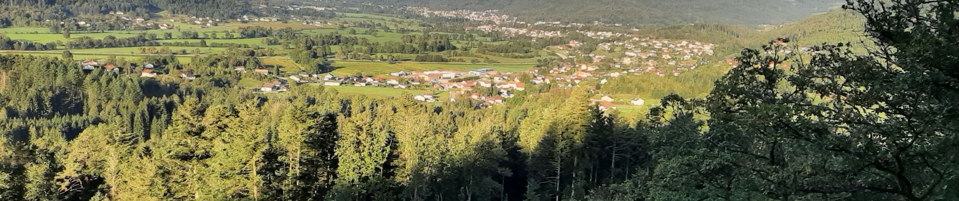 Randonnée Marche Le Syndicat - plaine cleurie - la bresse - Photo