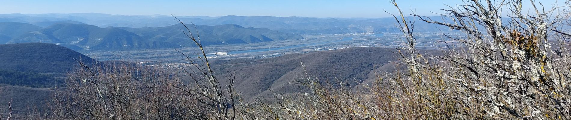 Trail Walking La Laupie - La Laupie : Sur les Chemins de Borne Rousse 6km5 - Photo